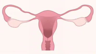 Vajinal Ultrason Fiyatları